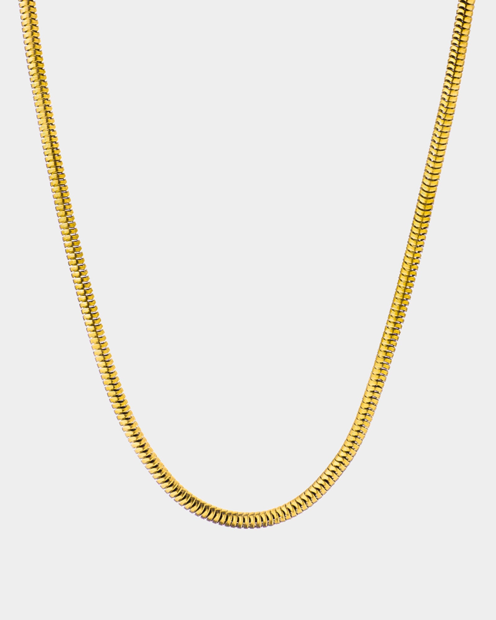 Golden Steel Necklace Belize - Jewelry Online - Dicci