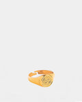 Wind Rose Ring Golden close-up detail