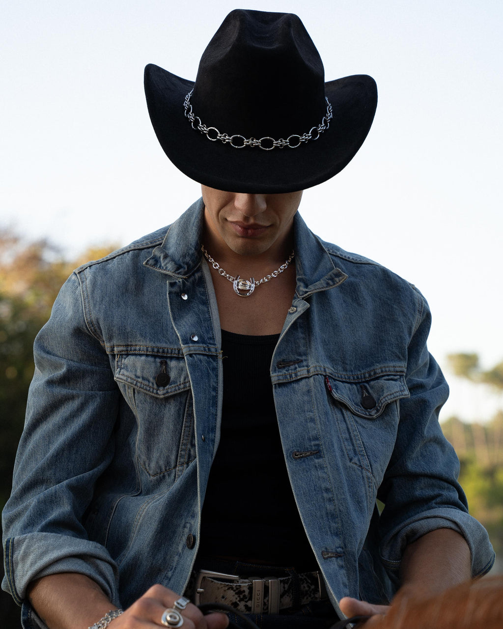 horseshoe necklace stainless steel