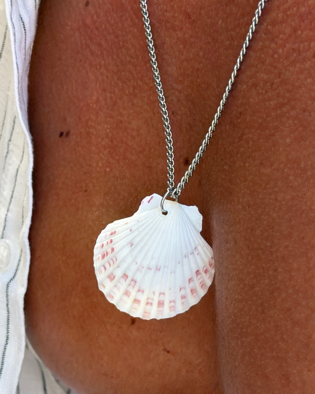 A silver chain necklace with a white scallop shell pendant featuring pink and red speckles, worn on a person's chest.
