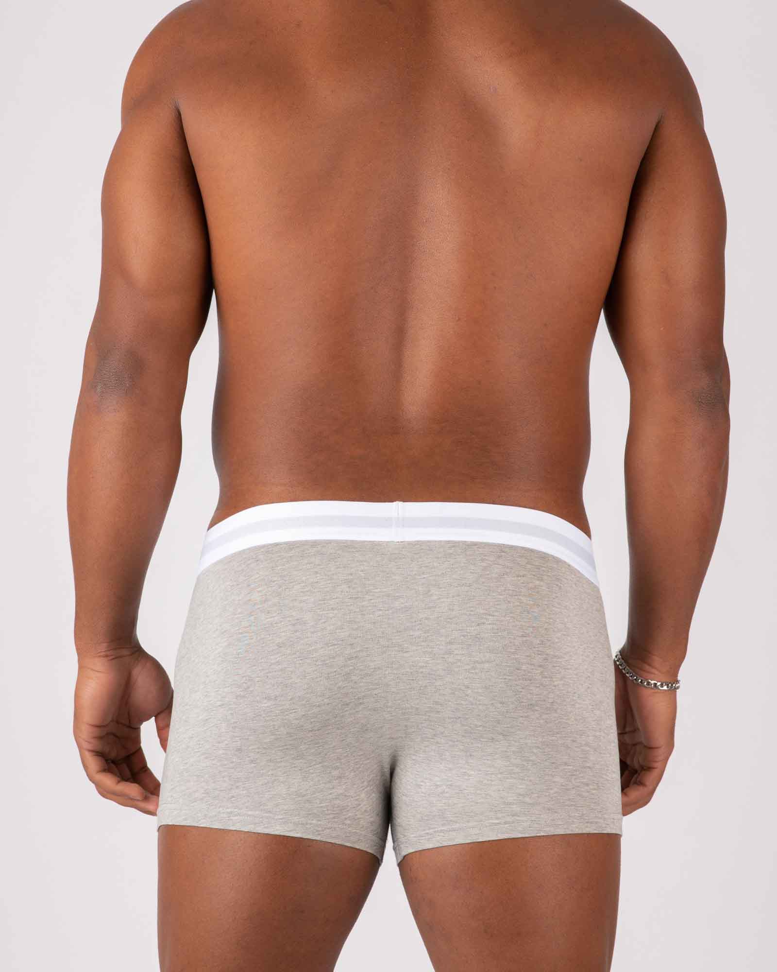 Dicci Boxer Gris en el cuerpo del modelo - Elástico Bicolor - Boxers Online - Dicci