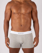 Dicci Boxer Grigi sul corpo delle modello - Elastico Bicolore - Boxer Online - Dicci