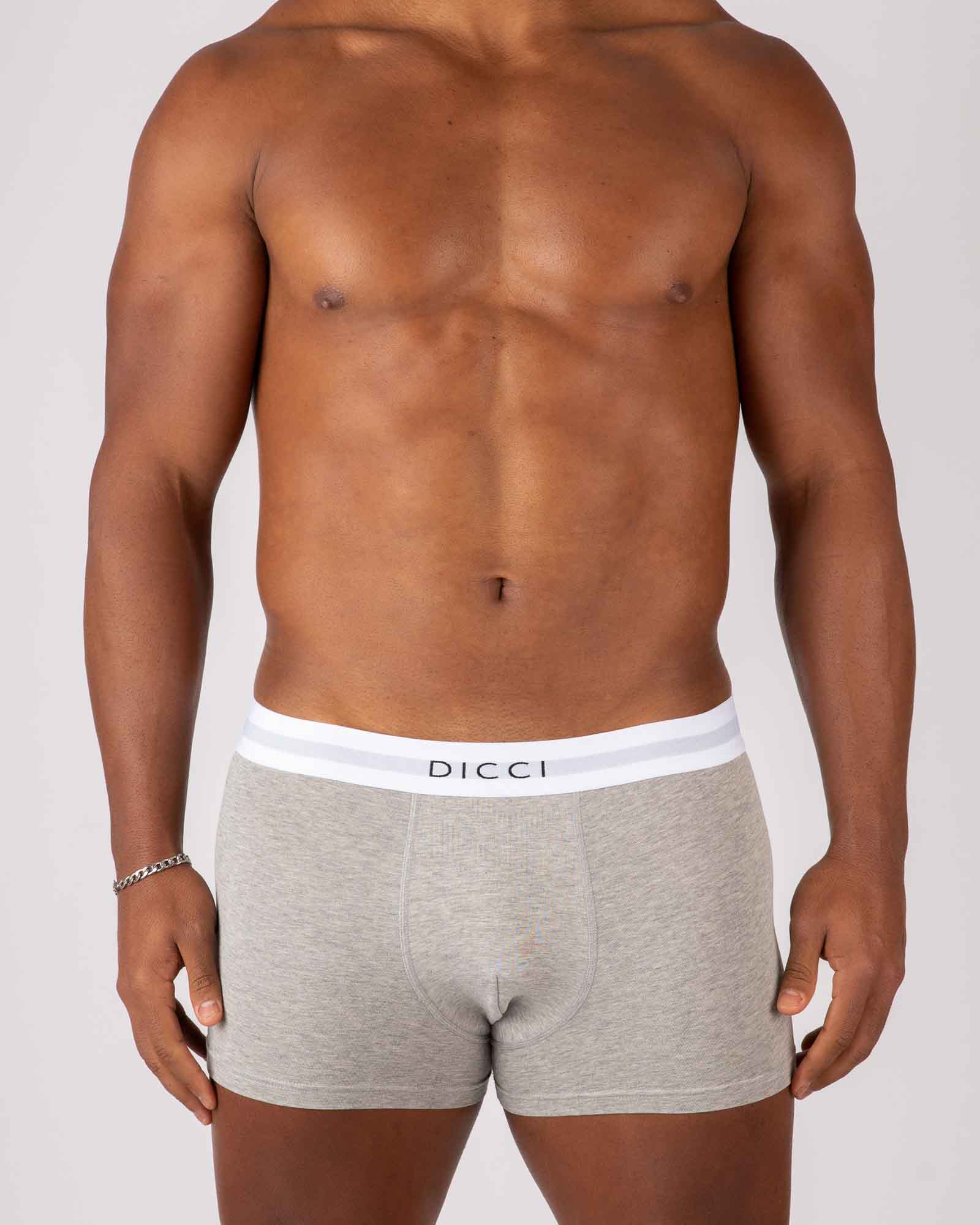 Dicci Boxer Grigio sul corpo del modello - Elastico Bicolore - Boxer Online - Dicci
