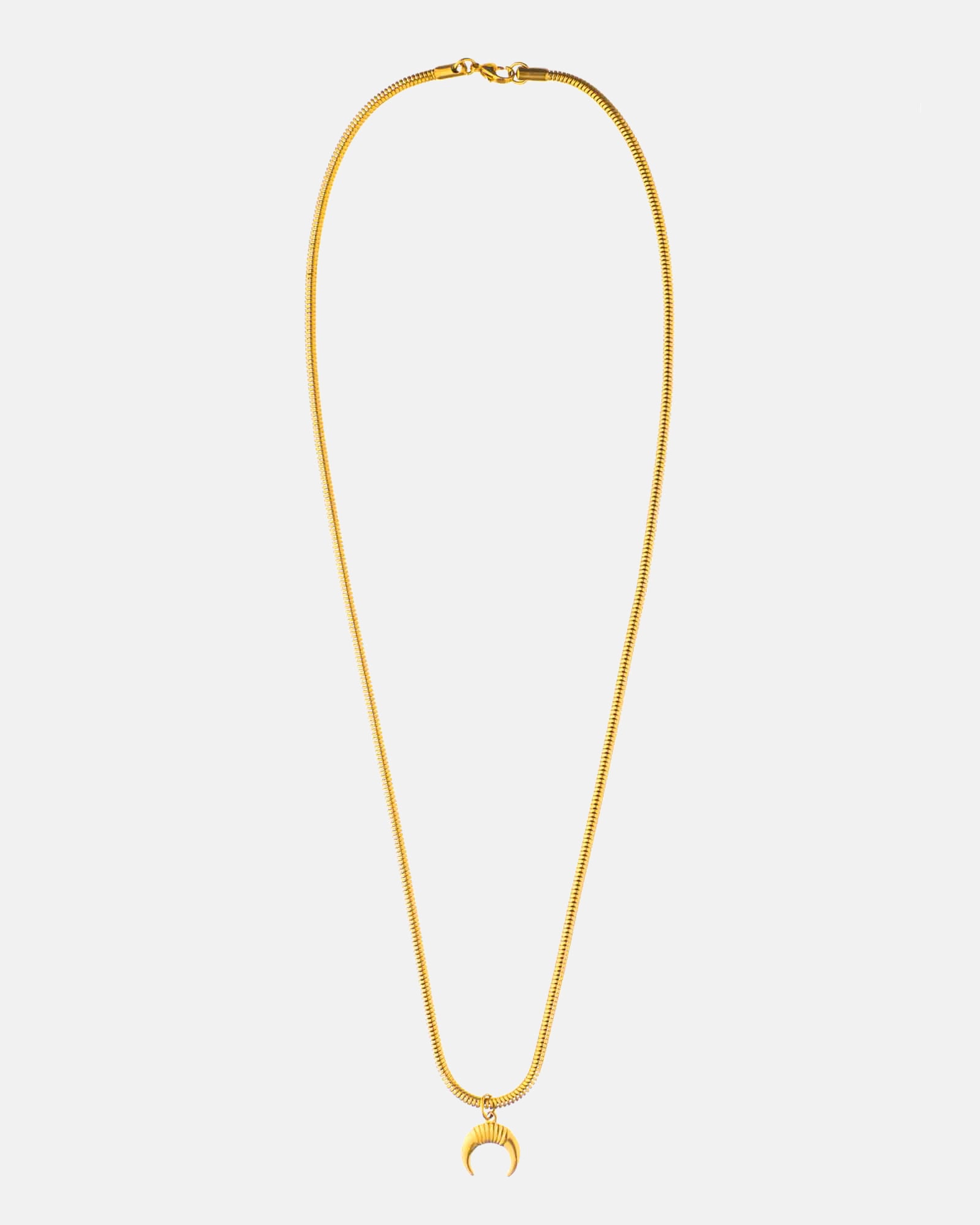 Horns - Collar De Acero Dorado -  cadena de acero inoxidable Belice y un colgante de un cuerno - Joyería Online Unisexo - Dicci