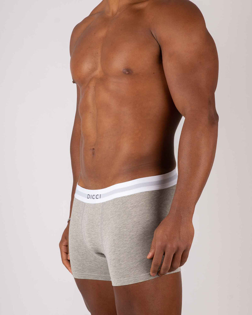 Dicci Boxer cinzento no corpo do modelo - Bicolor Elastico - Roupa Intima Online - Dicci