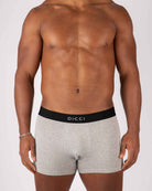 Boxer Dicci cinza básico com elástico preto no corpo do modelo - Roupa Intima Online - Dicci