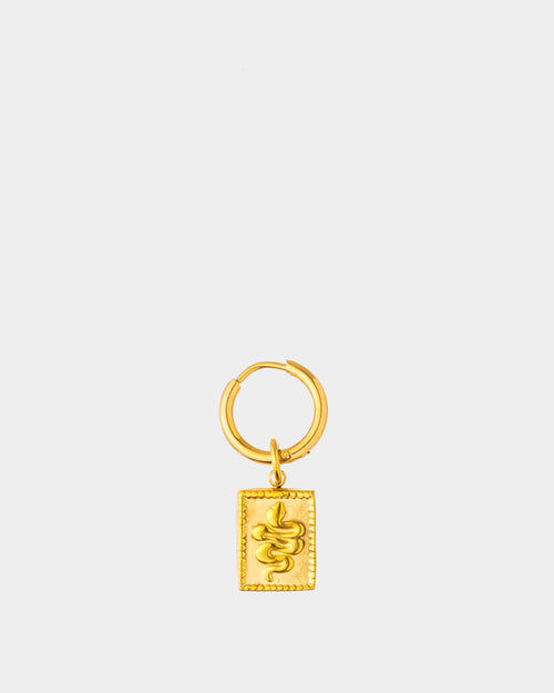 Golden Steel Earring Crawling Snake - Steel Earrings - Online Jewelry - Dicci
