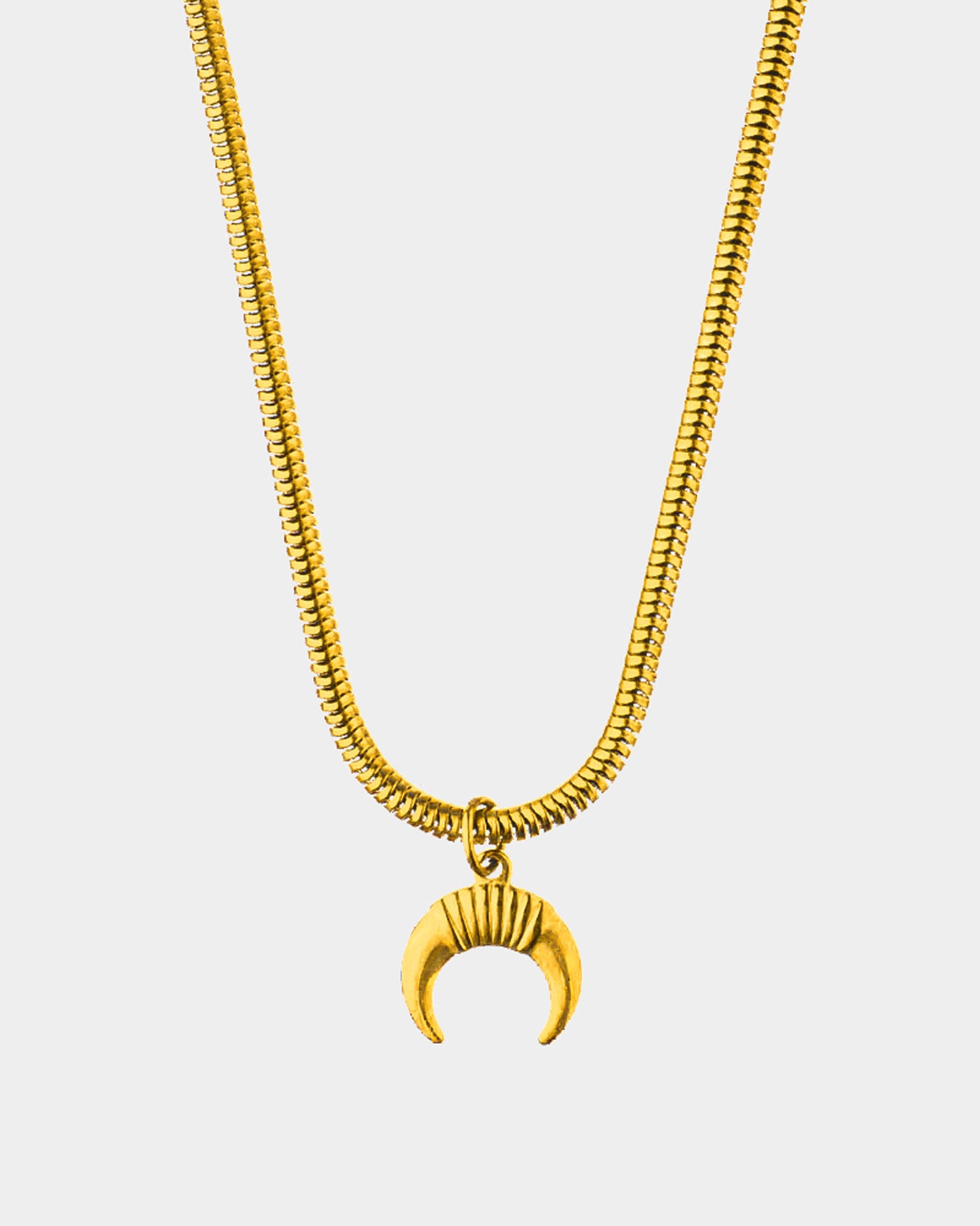 Horns - Golden Stainless Steel Necklace - Belize golden stainless steel chain and a one horn pendant - Online Unissex Jewelry - Dicci