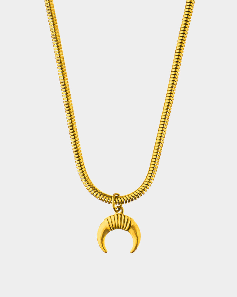 Horns - Golden Stainless Steel Necklace - Belize golden stainless steel chain and a one horn pendant - Online Unissex Jewelry - Dicci