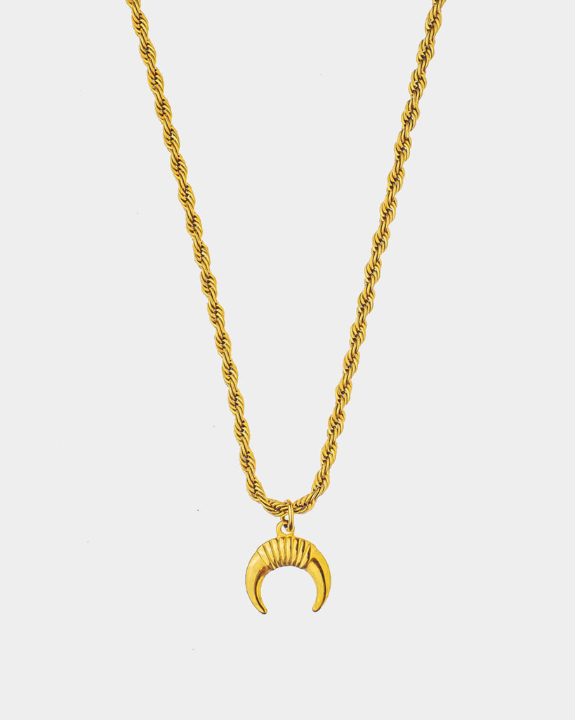 Horns - Golden Steel Twisted Chain 'Horns' - Raso stainless steel chain and a one horn pendant - Online Unissex Jewelry - Dicci