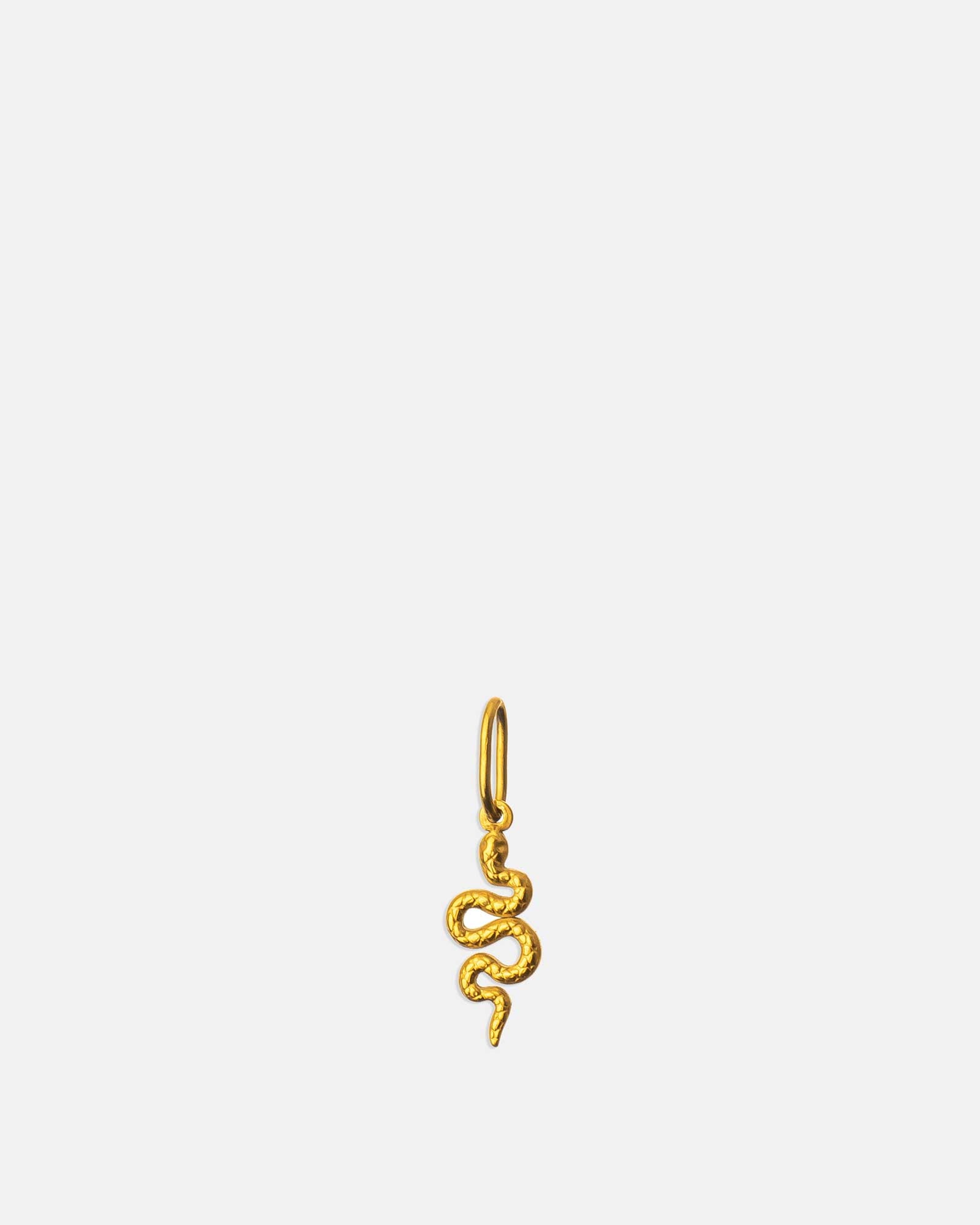 Snake - Golden Stainless Steel Pendant - Necklace Pendant - Online unissex jewelry - dicci