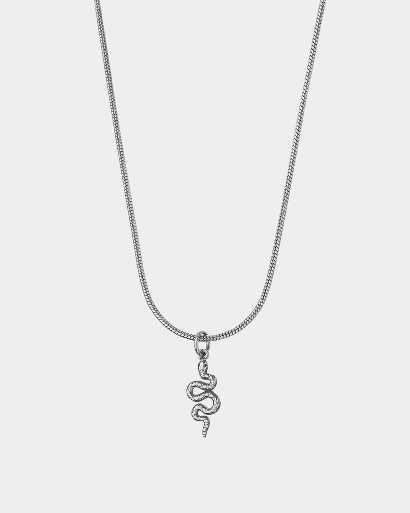 Crawling Snake - Stainless Steel Necklace - Online Jewelry - Dicci