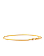 Golden snake bone chain